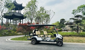 DAOD’s 6-seater Electric Golf Carts Put Into Use in Chengdu Horticultural Expo