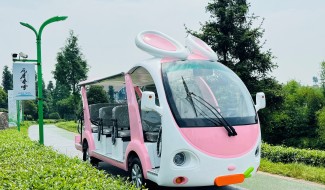 DAOD Launched 14 Seats Rabbit Sightseeing Car