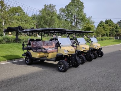 DAOD Launched New Design Product of Electric Golf Cart