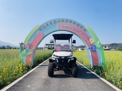 DAOD  Electric Sightseeing Car and Golf Cart’s First Experience in Rape Flower Field