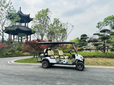 DAOD’s 6-seater Electric Golf Carts Put Into Use in Chengdu Horticultural Expo