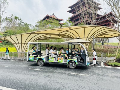 the Daoda Electric Sightseeing Car was Put Into the EXPO to Carry Tourists