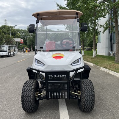 Hot Selling  High Quality 2 Seats Electric Golf Cart ' />