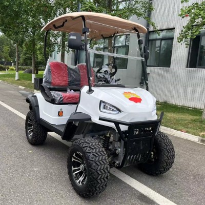 Hot Selling  High Quality 2 Seats Electric Golf Cart ' />