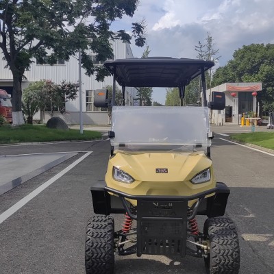 Beautiful Customized 6 Seats Electric Golf Cart