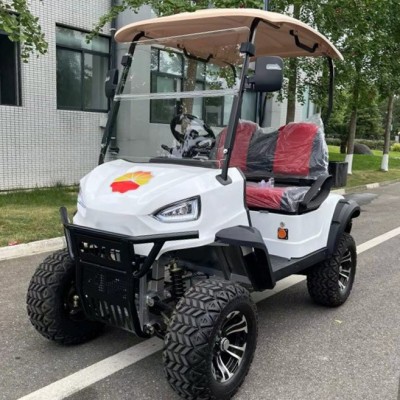 Hot Selling  High Quality 2 Seats Electric Golf Cart 