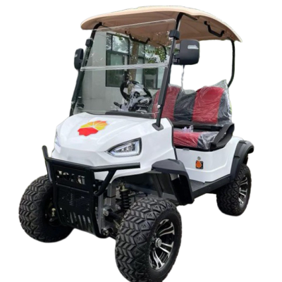 Hot Selling  High Quality 2 Seats Electric Golf Cart 