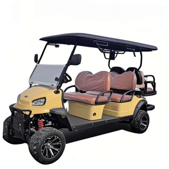 Beautiful Customized 6 Seats Electric Golf Cart