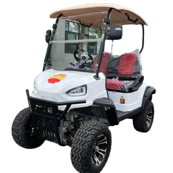 Hot Selling  High Quality 2 Seats Electric Golf Cart 